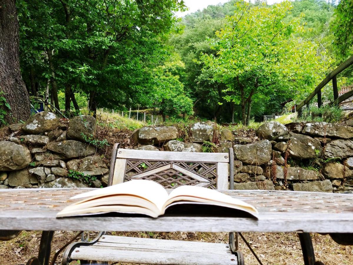 Hotel Agricamping Ponteraggio N.1 Dolceacqua Zewnętrze zdjęcie