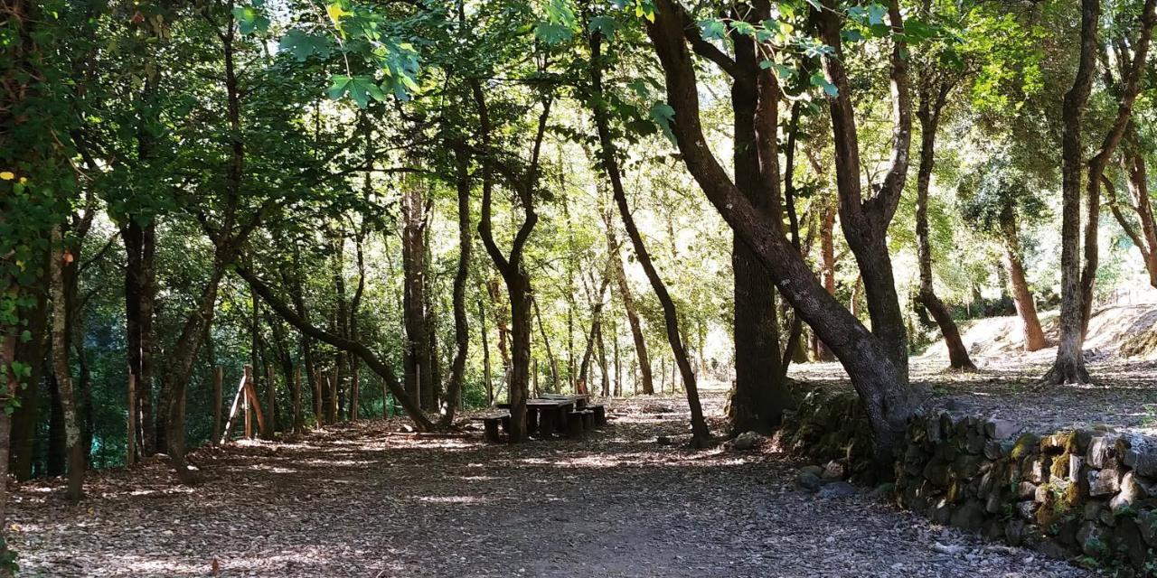 Hotel Agricamping Ponteraggio N.1 Dolceacqua Zewnętrze zdjęcie