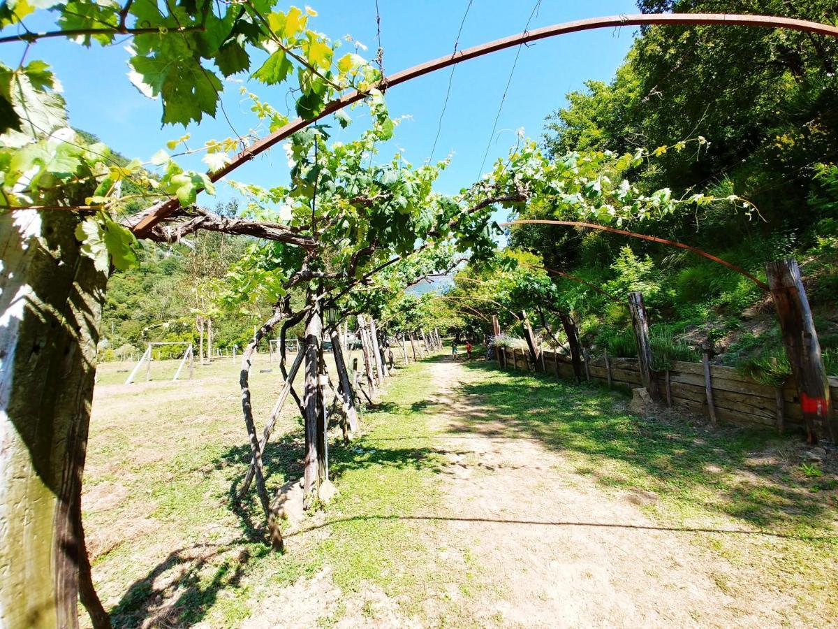 Hotel Agricamping Ponteraggio N.1 Dolceacqua Zewnętrze zdjęcie