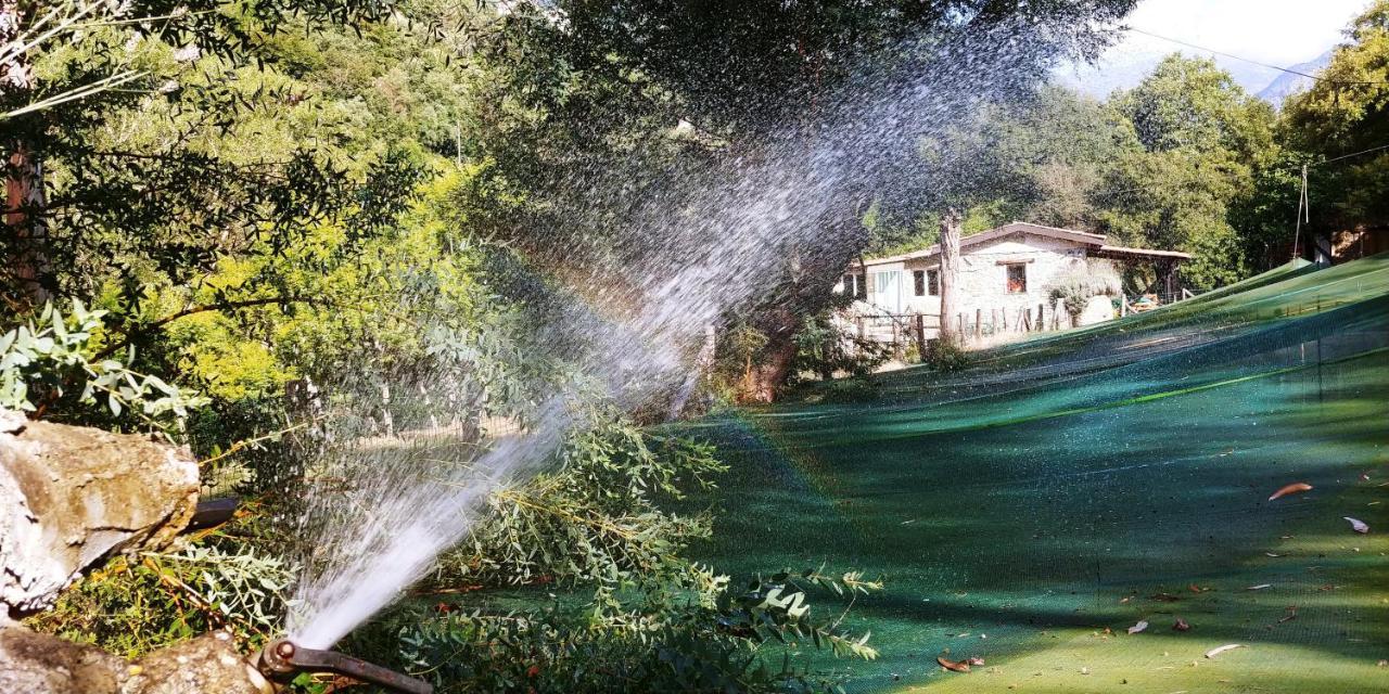 Hotel Agricamping Ponteraggio N.1 Dolceacqua Zewnętrze zdjęcie