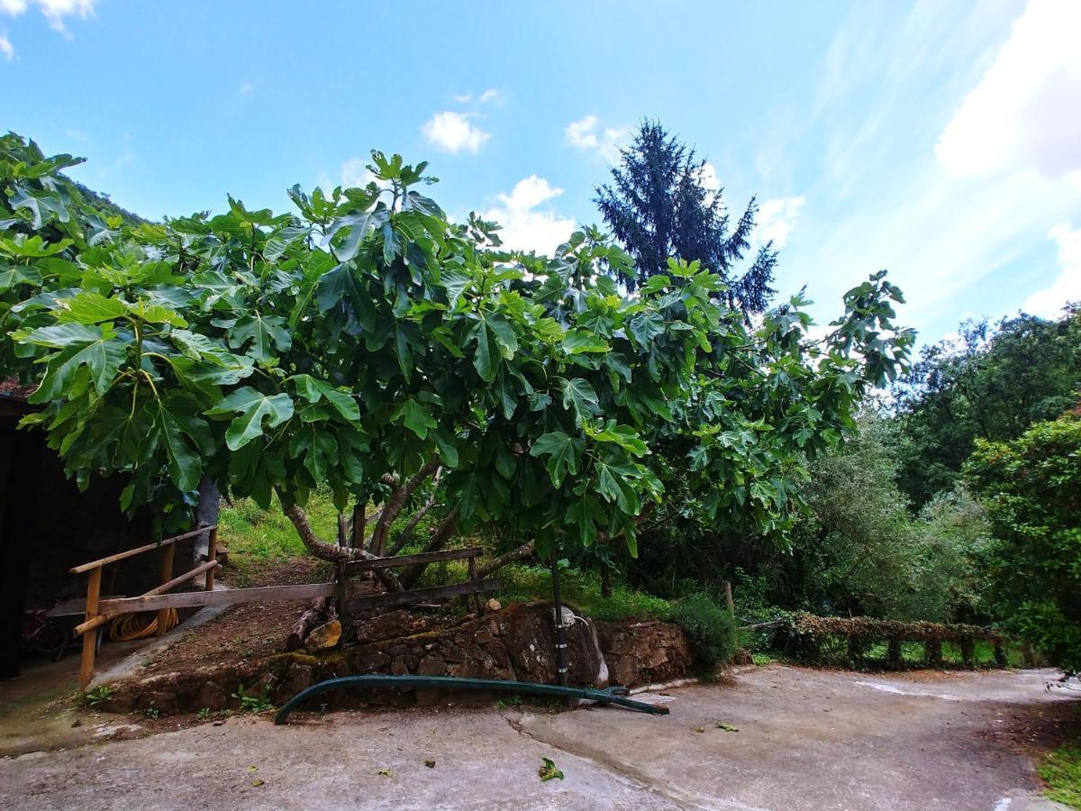 Hotel Agricamping Ponteraggio N.1 Dolceacqua Zewnętrze zdjęcie