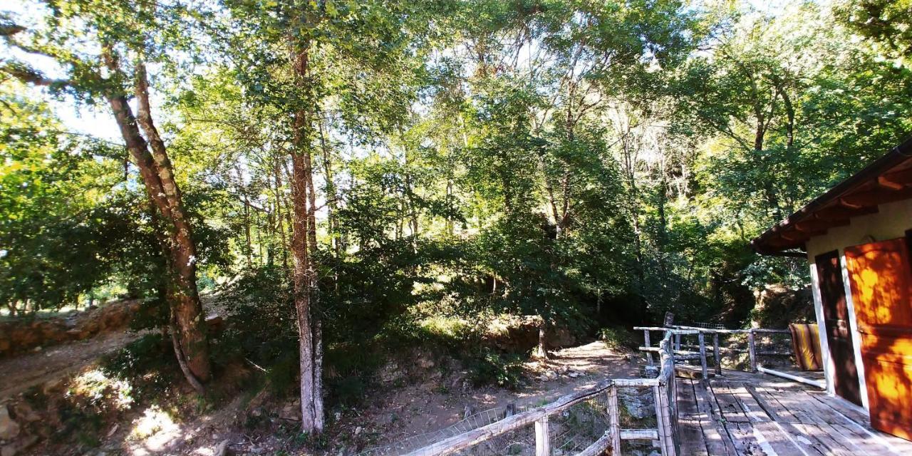 Hotel Agricamping Ponteraggio N.1 Dolceacqua Zewnętrze zdjęcie