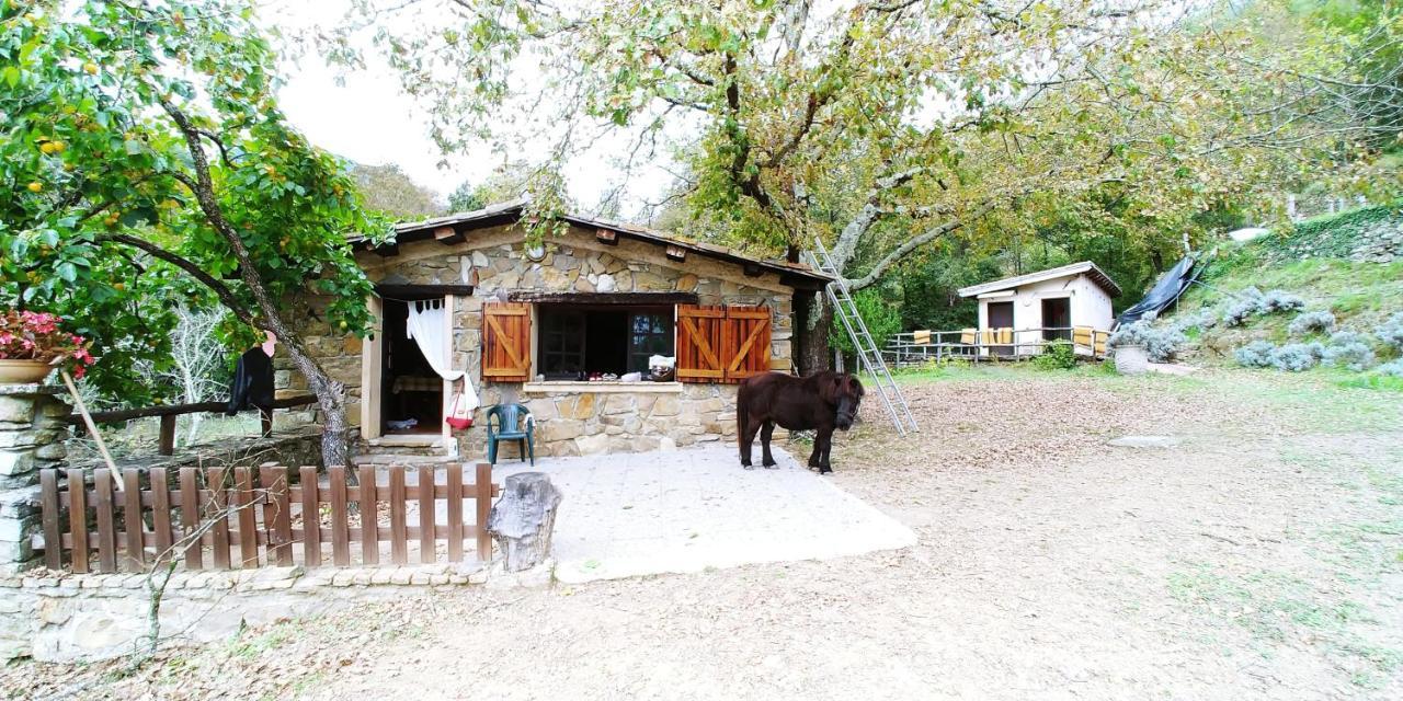 Hotel Agricamping Ponteraggio N.1 Dolceacqua Zewnętrze zdjęcie