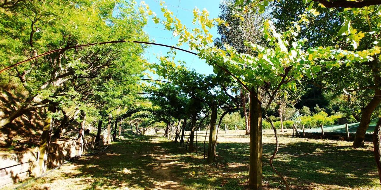 Hotel Agricamping Ponteraggio N.1 Dolceacqua Zewnętrze zdjęcie