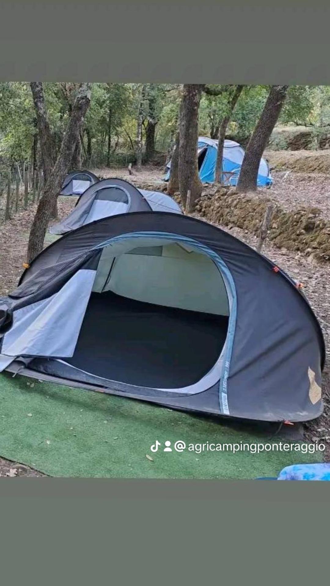 Hotel Agricamping Ponteraggio N.1 Dolceacqua Zewnętrze zdjęcie