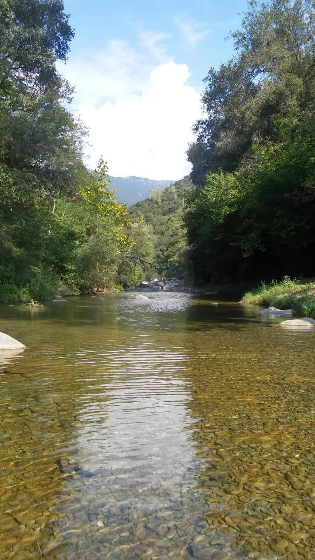 Hotel Agricamping Ponteraggio N.1 Dolceacqua Zewnętrze zdjęcie