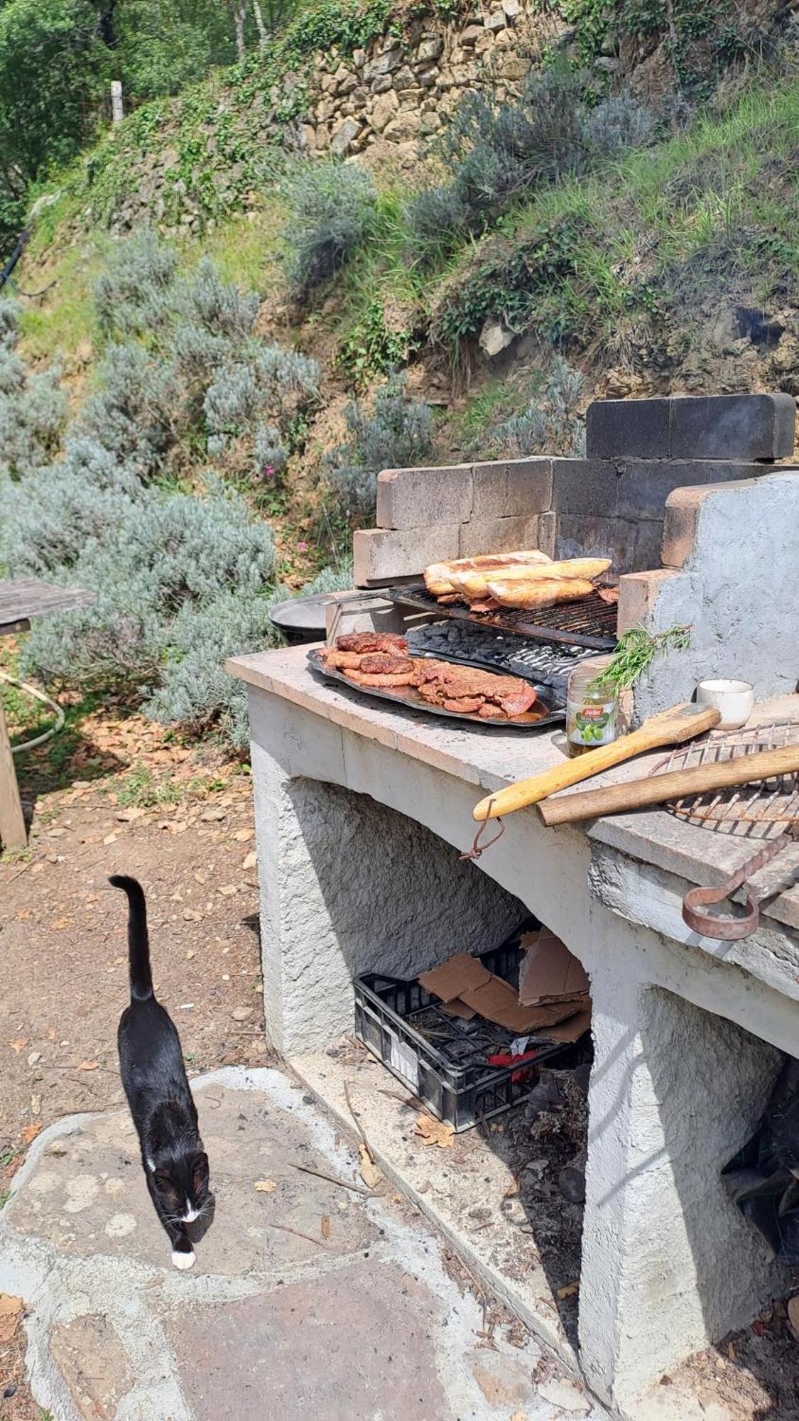 Hotel Agricamping Ponteraggio N.1 Dolceacqua Zewnętrze zdjęcie